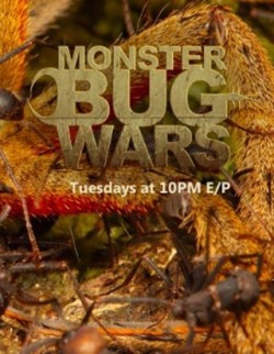          I am watching Monster Bug Wars                                                  1725 others are also watching                       Monster Bug Wars on GetGlue.com     