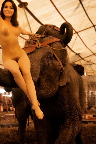Nude circus women