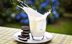  today in history going all the way back to 1912&hellip; 100 years ago to this very day&hellip; the 1st oreo cookie was sold in new jersey  100th anniversary of the oreo cookie  enjoy these 4 pictures  to celebrate this very special day :)  HISTORIA!!!