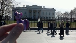 twilight sparkle what are you doing at the white house you cant participate in foreign policy trade agreements youre not even an elected official the fuck twilight
