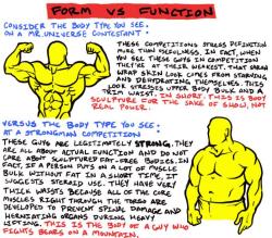 themockingcrows:  calleo:  becomewhatyouwant:  deleted the commentary because some “body builders” were visibly mad   Just an FYI for you RPers &amp; art people.  There is nothing wrong with either body type or preferring one to the other, but if