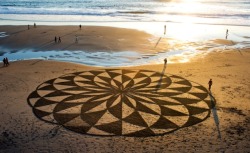 inothernews:  The New York Daily News has a gallery of artist Andres Amador’s beach sand art, which is waaaaaay better than building sand castles. 