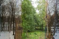 stop-hodoring:A picture in 365 slices. Each slice is one day of the year.This is literally one of the best things on the site