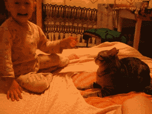 juodaanviinaa:  saksenland:  enfeebler:  naathaaaly:  Reason why I hate cats. They’re so scary.  Reasons why I hate toddlers. They do this and everyone blames the pet.  Kid deserved it. LOL  This is why I hate parents. They don’t teach their kids