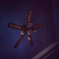 Ceiling fan.  (Taken with instagram)