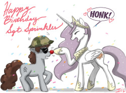 It&rsquo;s Sgt. Sprinkles&rsquo; Birthday! 3 days after mine!HAPPY BIRTHDAY you lovable oaf!
