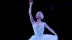 Marianela Nuñez, the Swan Queen. How I would love to be perfect like this.