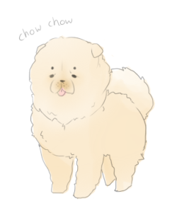 tofublock: (ﾉ◕ヮ◕)ﾉ Chow chow dogs are so fluffy! I want to hug all of them! 