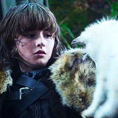 ☼ Bran Stark &amp; Summer↪Game Of Thrones - S01E01 - ”Winter Is Coming”