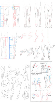 shriekydonkey:  deletethestars:  I actually have no idea how bone or muscle structure works ◡‿◡✿ Full Res Did this upon my waifus request, and in no way do I think I have any idea whats going on when it comes to digigrade legs lol.   I don’t