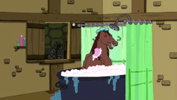 Típico, está el caballo en su ducha y le quitan la esponja