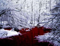 chaoscontrolled123:  i-am-an-adult-i-swear:  renoa:  cityspooks:   thescpfoundation:   SCP-354: The Red Pool   SCP-354 is a pool of red liquid located in northern Canada. The liquid is similar in consistency to human blood but is non-biological in nature.