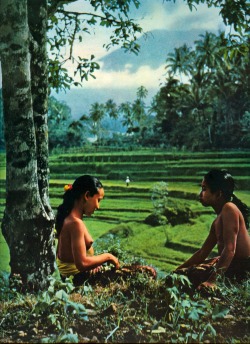 awakeningapril:   INDONESIA. Bali. Two young Balineese girls rest by rice paddies under the sacred mountain Gunung Agung near the village of Iseh. 1953.  