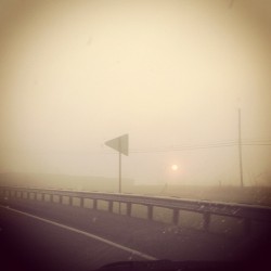 Dirty windshields sun peeking through the fog. #sun #fog #morning #photography #instagram #iphoneography  (Taken with instagram)