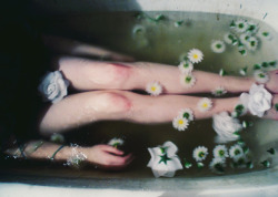 rachelproctor:  psycho-soul:  Cold morning bath by summers_breath on Flickr. 