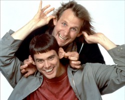 shaunpetwolf:  Dumb and Dumber 2 is being filmed this year, with Jim Carrey &amp; Jeff Daniels back onboard. I like this. I like it a lot. 