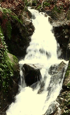  never thought id see a gif of a waterfall backwards  this looks pretty cool :)