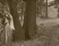 fugaciternelle: A Midsummer Night’s Dream, 1909. Dir.: Charles Kent and J. Stuart Blackton