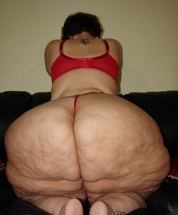 400  pounds of Asshley Asshley aka Big Butt Asshley 			Measurements: (??-??-81) 			Bust: ? 			5'03&quot; [1] 			 			450 [1] 			 			204 kg 			BMI: 79.7  /- 		