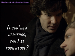 &ldquo;If you&rsquo;re a hedgehog, can I be your hedge?&rdquo;