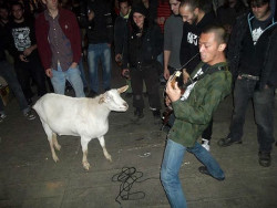 ianbrooks:  Goatcore Singapore-based grindcore band Wormrot has a goat in their mosh pit. Your argument is irrelevant.  (via: dangerousminds)  