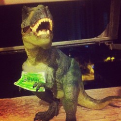 pr1ps:  Ridiculously photogenic t-rex (Taken with instagram) 