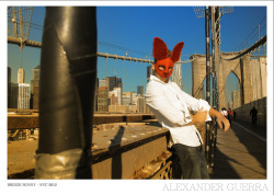 Bridge Bunny - NYC 2012 Alexander Guerra