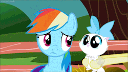 rainbowdash-likesgirls:  mellydash:  “Fluttershy, I want your pussy in my face.” … “Dammit… not what I meant, Shy…”  