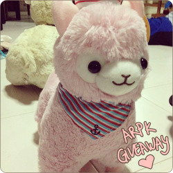 inkydonkey:  jokerstrife:  theoldaeroplane:  kyaptan:  ALPACA PLUSH GIVEAWAY!! HEY GUYS I’M BACK FROM TW HEHE and I bought one extra alpaca plush to give away to you guys! I know these are pretty hard to get outside of a few countries so I thought to