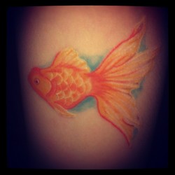 fuckyeahtattoos:  My first pet was a goldfish named Pip, who I completely adored. To me this symbolises the love I have for all creatures and to always stay true to my nature. Done by the talented Sophie Butcher at Love &amp; Hate Tattoo’s - Norwich. 