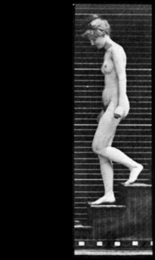 La desnudez de Duchamp - La escalera bajando.