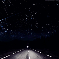 beggars-opera:  biohazxrd:  punkrockmermaid:  This is perfection. If you ever want to shut me up, let me ride shotgun, turn the music up, wind down the windows and drive me down a dark road under a starry sky. This is when I’m at my best.  I have a