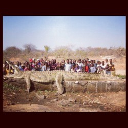 22 foot, 2500 pound croc killed in Zimbabwe. #monster #wildlife #killer (Taken with instagram)
