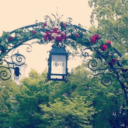 alicechiu:  college ave #Rutgers #Day (Taken with instagram) 