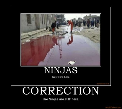 Motivational posters funny ninjas