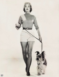 jeanjeanie61:  Carolyn Jones - 1955 Publicity Photo http://planetsuzy.org