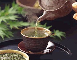 bvddhist:    16 HERBAL TEAS with Health facts to put on your grocery list 1.    Nettle Nettle is made with the leaves of stinging nettle, named for the tiny hairs on the fresh leaves which can sting the skin. Despite it’s rough exterior, nettle is