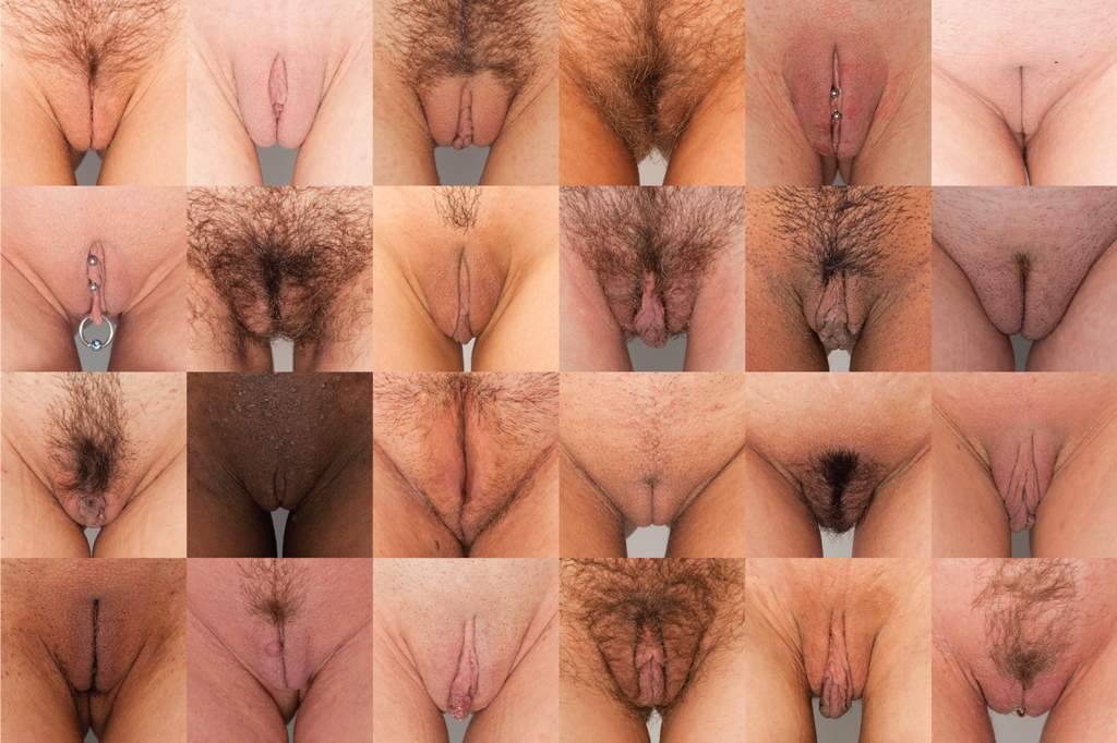 Different types shaved pussy