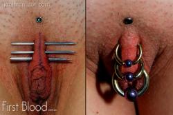 pussymodsgalore  On the left the piercing needles are through, clit hood marked with a central line to aid positioning. On the right the finished project, three HCH piercings with rings, also earlier Christina piercing above. The original poster said: