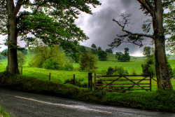 bluepueblo:  Summer Meadow, Ratlinghope, Shropshire, England photo via spirit