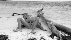 Porn Gifs - Sex on the beach, Literally!