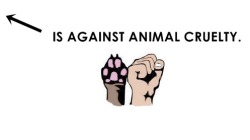 homestar-punker:  catandaguin:  familiaralien:  missingkitsune:  eatfithappiness:  vegan-vulcan:  I didn’t know there were twenty thousand vegans on tumblr!!!  You can be against animal cruelty and not be a vegan  You can be against animal cruelty and