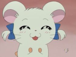 fyeahcontroversialcharacters:  Character: Bijou (Ribbon-chan) Fandom: Hamtaro (Tottoko Hamutaro) Reason for Being Hated: ‘Slut’ because she doesn’t love Boss and only sees him as a big brother, loves Hamtaro, isn’t Sparkle, her wwner is rich,