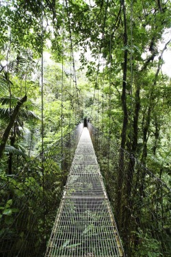 theadventurechild:  Jungle/tropical blog