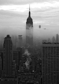 jalousie:  New York City 