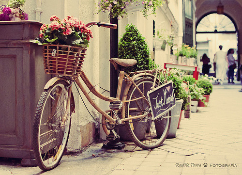 bicycle aesthetic | Tumblr