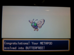 Got me a shiny Butterfree! :D