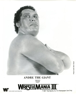 Happy Birthday, Andre The Giant