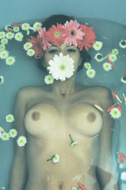 bath-porn:another flower bath