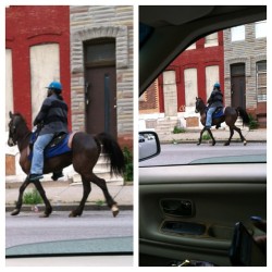 livefrombmore:  Only in Baltimore will you find a random guy riding a horse down the street. I guess he was tired of the gas prices. Lmao! 